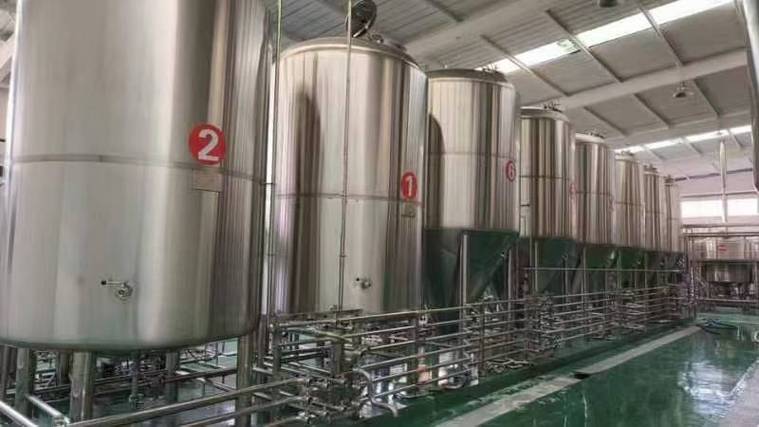 云梦日产10吨精酿啤酒设备多少钱？2026年全套报价帮你算明白